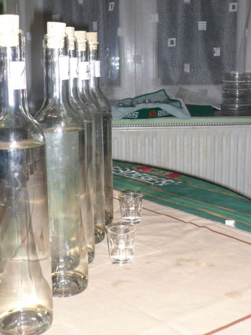 Nkter ze vzork na 1. ronku Velkho sulimovskho kotu 11. 12. 2010