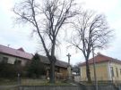 Brigáda v Sulimově: velká účast, velký kus práce a velké díky