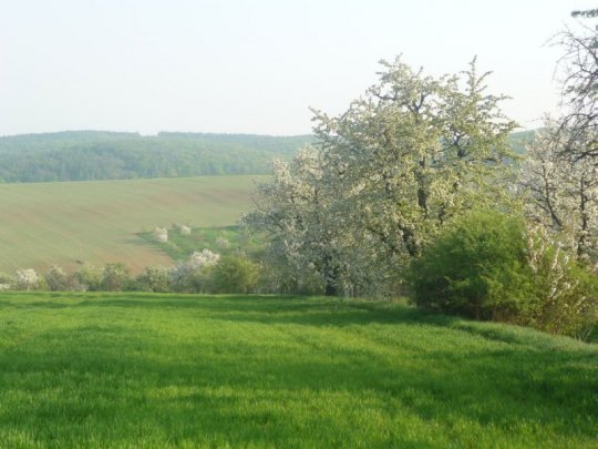 Kliknutm na obrzek se oteve v novm okn foto v pvodn velikosti