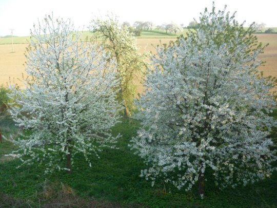 Kliknutm na obrzek se oteve v novm okn foto v pvodn velikosti