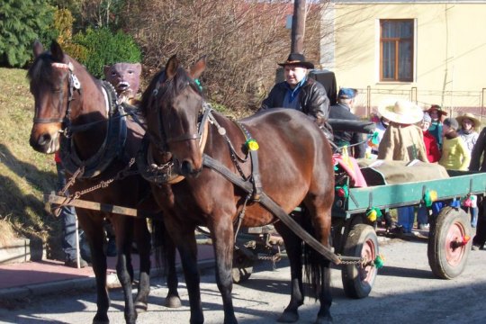 Kliknutm na obrzek se oteve v novm okn foto v pvodn velikosti